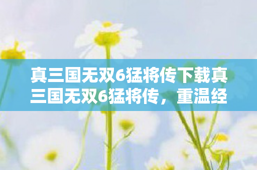 真三国无双6猛将传下载真三国无双6猛将传图片