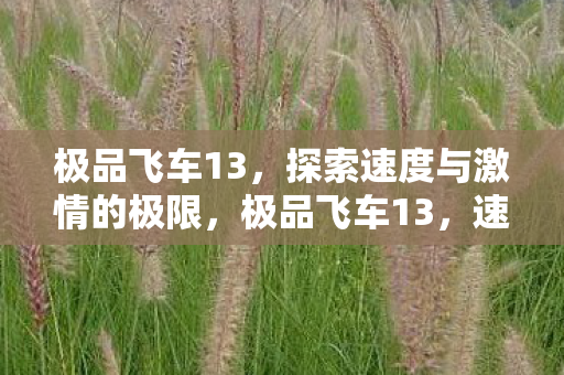 极品飞车13,探索速度与激情的极限,极品飞车13,速度与激情的极限之旅 极品飞车13,探索速度与激情的极限,极品飞车13,速度与激情的极限之旅