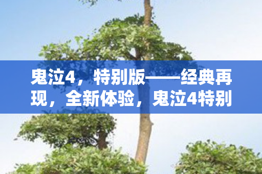 鬼泣4，特别版——经典再现，全新体验，鬼泣4特别版，经典再现，全新体验