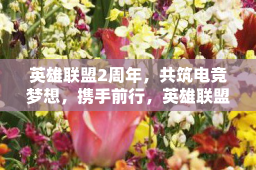 英雄联盟2周年图片