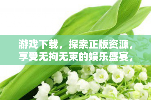 游戏下载，探索正版资源，享受无拘无束的娱乐盛宴，探索正版资源，畅享游戏盛宴，无拘无束的娱乐体验