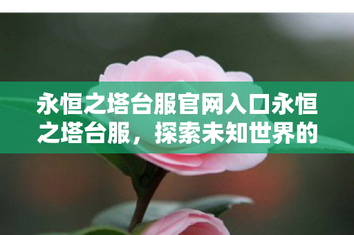 永恒之塔台服官网入口永恒之塔台服,探索未知世界的奇幻之旅,永恒之塔台服官网,探索未知世界的奇幻之旅 永恒之塔台服官网入口永恒之塔台服,探索未知世界的奇幻之旅,永恒之塔台服官网,探索未知世界的奇幻之旅