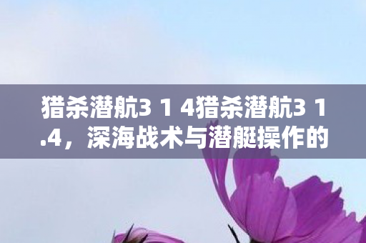 猎杀潜航3 1 4猎杀潜航3 1.4,深海战术与潜艇操作的极致体验,猎杀潜航3 1.4,深海战术与潜艇操作的极致体验 猎杀潜航3 1 4猎杀潜航3 1.4,深海战术与潜艇操作的极致体验,猎杀潜航3 1.4,深海战术与潜艇操作的极致体验