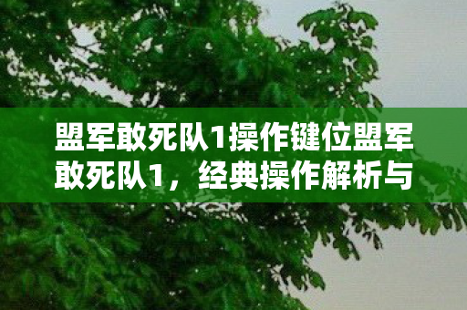 盟军敢死队1操作键位盟军敢死队1,经典操作解析与实战应用,盟军敢死队1经典操作解析与实战应用 盟军敢死队1操作键位盟军敢死队1,经典操作解析与实战应用,盟军敢死队1经典操作解析与实战应用