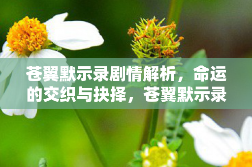 苍翼默示录剧情解析，命运的交织与抉择，苍翼默示录，命运交织与抉择的剧情解析