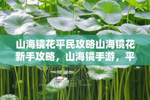 山海镜花平民攻略山海镜花新手攻略，山海镜手游，平民与新手攻略