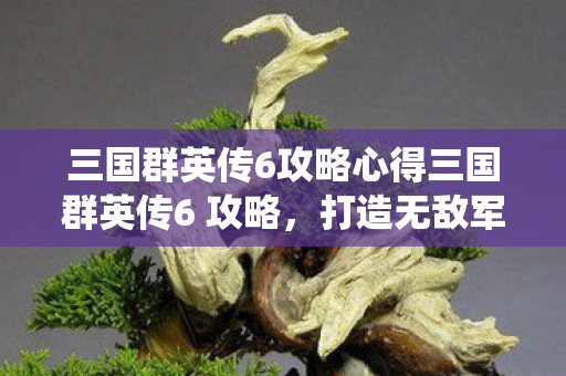 三国群英传6攻略心得三国群英传6 攻略，打造无敌军团，一统天下！三国群英传6攻略，打造无敌军团，一统天下！