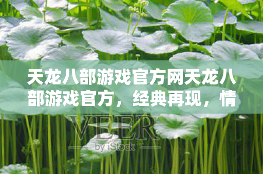 天龙八部游戏官方网天龙八部游戏官方图片