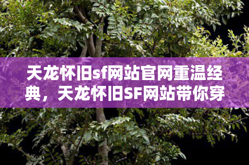 天龙怀旧sf网站官网重温经典,天龙怀旧SF网站带你穿越武侠世界,天龙怀旧SF网站,重温经典武侠,穿越至武侠世界 天龙怀旧sf网站官网重温经典,天龙怀旧SF网站带你穿越武侠世界,天龙怀旧SF网站,重温经典武侠,穿越至武侠世界