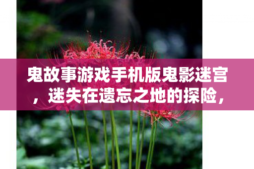 鬼故事游戏手机版鬼影迷宫,迷失在遗忘之地的探险,鬼影迷宫,迷失在遗忘之地的探险 鬼故事游戏手机版鬼影迷宫,迷失在遗忘之地的探险,鬼影迷宫,迷失在遗忘之地的探险