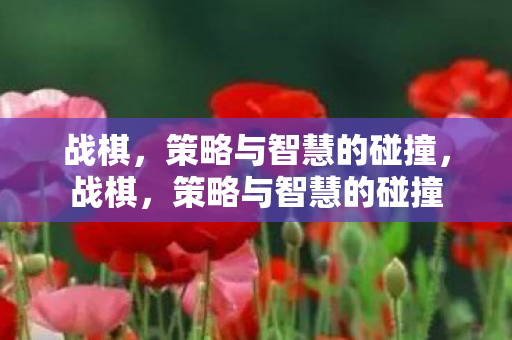 战棋,策略与智慧的碰撞,战棋,策略与智慧的碰撞 战棋,策略与智慧的碰撞,战棋,策略与智慧的碰撞