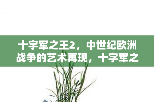 再现中世纪欧洲战争的艺术盛宴图片