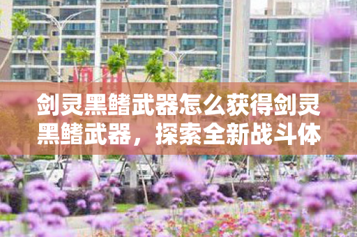 剑灵黑鳍武器怎么获得剑灵黑鳍武器,探索全新战斗体验,探索全新战斗体验,揭秘如何获得剑灵黑鳍武器 剑灵黑鳍武器怎么获得剑灵黑鳍武器,探索全新战斗体验,探索全新战斗体验,揭秘如何获得剑灵黑鳍武器