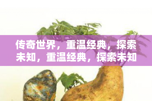 传奇世界的奇幻之旅图片