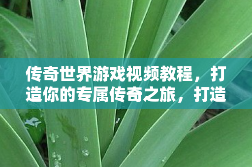 传奇世界游戏视频教程图片