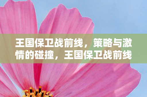 策略与激情的碰撞图片