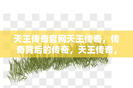 天王传奇官网天王传奇，传奇背后的传奇，天王传奇，传奇背后的传奇