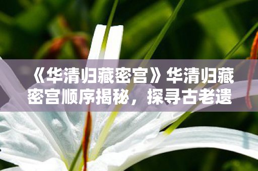《华清归藏密宫》华清归藏密宫顺序揭秘,探寻古老遗迹的奥秘,华清归藏密宫,揭秘古老遗迹的神秘顺序 《华清归藏密宫》华清归藏密宫顺序揭秘,探寻古老遗迹的奥秘,华清归藏密宫,揭秘古老遗迹的神秘顺序