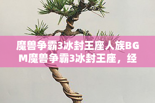 魔兽争霸3冰封王座人族BGM魔兽争霸3冰封王座图片