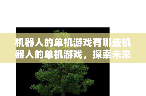 机器人的单机游戏有哪些机器人的单机游戏，探索未来游戏世界的无限可能，探索未来，机器人单机游戏的无限可能