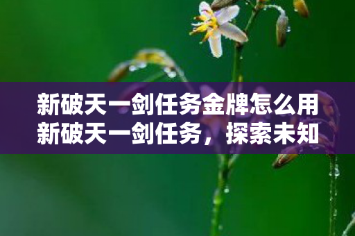 新破天一剑任务金牌怎么用新破天一剑任务，探索未知世界的奇妙之旅，新破天一剑任务，探索未知世界的奇妙之旅