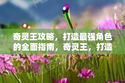 奇灵王攻略，打造最强角色的全面指南，奇灵王，打造最强角色的全面攻略