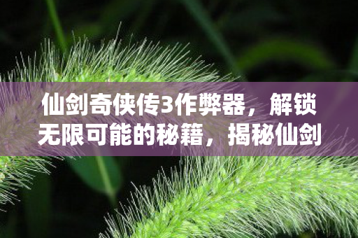 揭秘仙剑奇侠传3作弊器图片