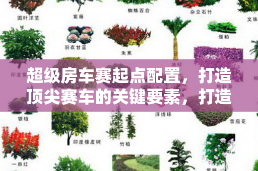 超级房车赛起点配置，打造顶尖赛车的关键要素，打造顶尖赛车，揭秘超级房车赛起点配置