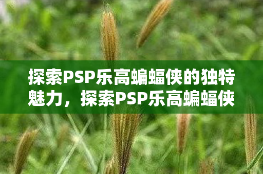 探索PSP乐高蝙蝠侠的独特魅力，探索PSP乐高蝙蝠侠的独特魅力