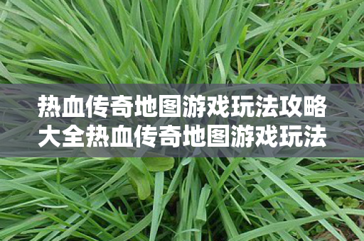热血传奇地图游戏玩法攻略大全热血传奇地图游戏玩法攻略图片