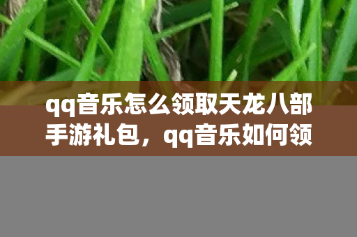 qq音乐怎么领取天龙八部手游礼包，qq音乐如何领取天龙八部手游礼包？