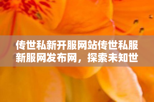 传世私新开服网站传世私服新服网发布网图片
