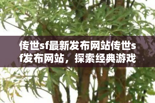 传世sf最新发布网站传世sf发布网站图片