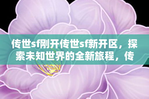 传世sf刚开传世sf新开区图片