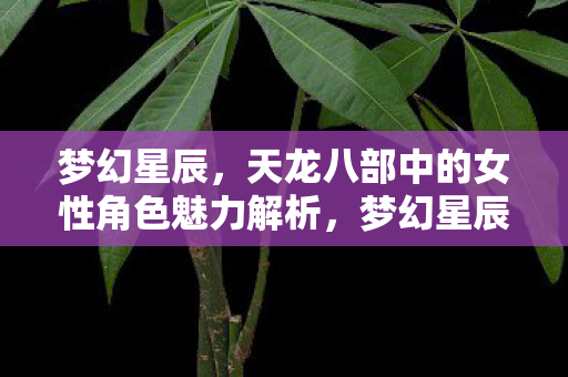 梦幻星辰,天龙八部中的女性角色魅力解析,梦幻星辰,解析天龙八部女性角色魅力 梦幻星辰,天龙八部中的女性角色魅力解析,梦幻星辰,解析天龙八部女性角色魅力