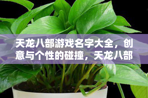 天龙八部游戏名字创意集锦图片