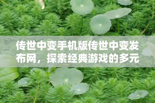 传世中变手机版传世中变发布网图片