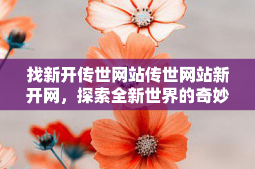 找新开传世网站传世网站新开网图片