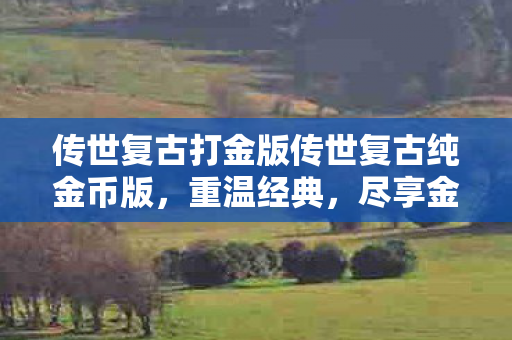 传世复古打金版传世复古纯金币版图片