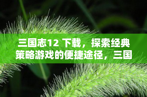 三国志12 下载，探索经典策略游戏的便捷途径，三国志12 下载，重温经典策略游戏，一键获取便捷体验