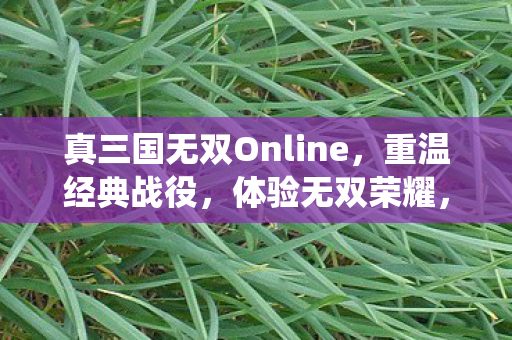 真三国无双Online重温经典战役图片