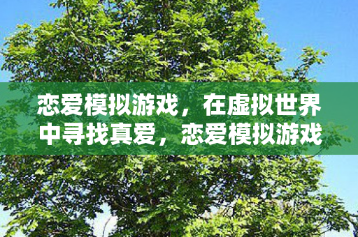 恋爱模拟游戏，在虚拟世界中寻找真爱，恋爱模拟游戏，在虚拟世界中寻找真爱
