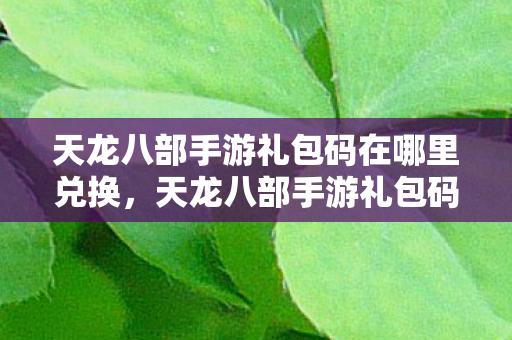 天龙八部手游礼包码在哪里兑换，天龙八部手游礼包码兑换攻略