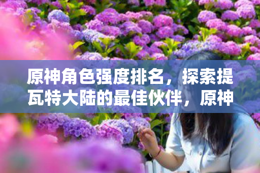 原神角色强度排名，探索提瓦特大陆的最佳伙伴，原神角色强度排名，谁是提瓦特大陆的最佳伙伴？