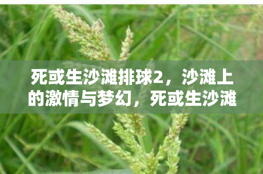 沙滩上的激情与梦幻盛宴图片