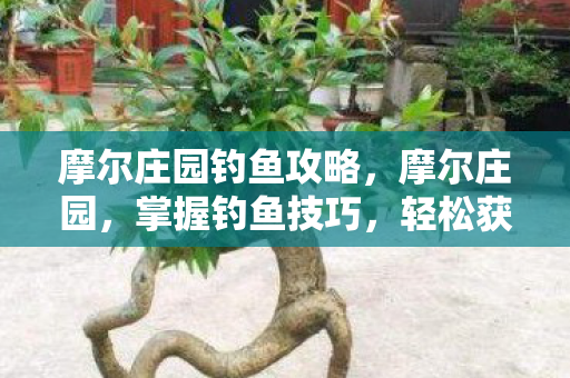 摩尔庄园钓鱼攻略，摩尔庄园，掌握钓鱼技巧，轻松获取丰富资源