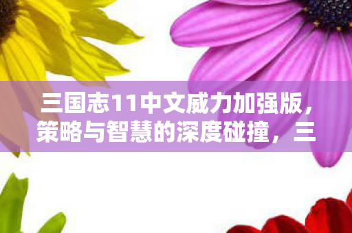 三国志11中文威力加强版,策略与智慧的深度碰撞,三国志11中文威力加强版,策略与智慧的深度碰撞 三国志11中文威力加强版,策略与智慧的深度碰撞,三国志11中文威力加强版,策略与智慧的深度碰撞