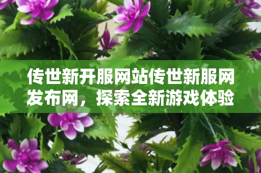 传世新开服网站传世新服网发布网图片