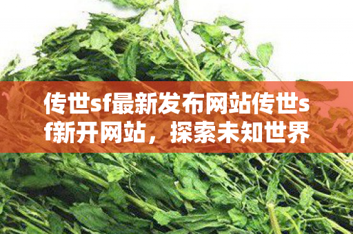 传世sf最新发布网站传世sf新开网站图片