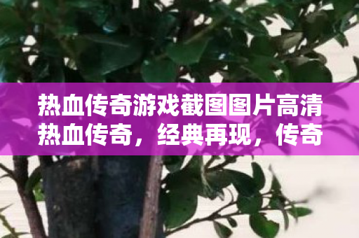 热血传奇游戏截图图片高清热血传奇图片